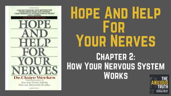 EP 021 – How Your Nervous System Works – HHFYN Chap 2