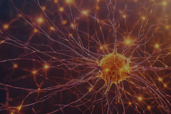 neuroscience and therapy